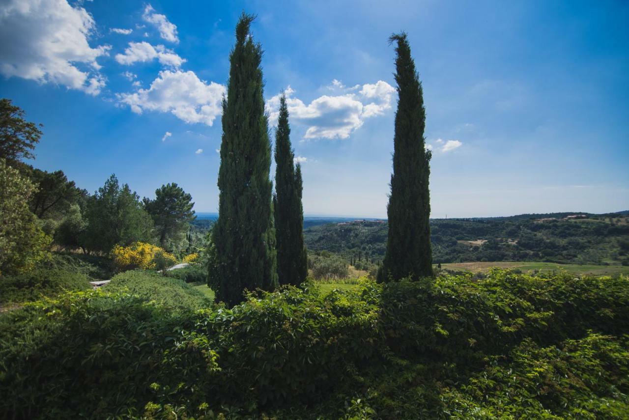 Villa Cava Alta Riparbella Εξωτερικό φωτογραφία